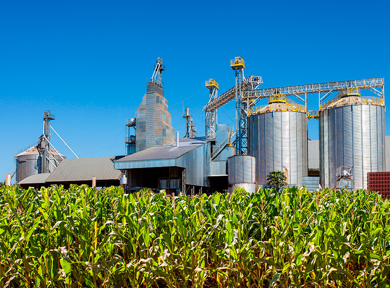 sector-agricola_760x560_01